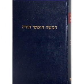 Torah - Choemash Dasberg 9789071727016